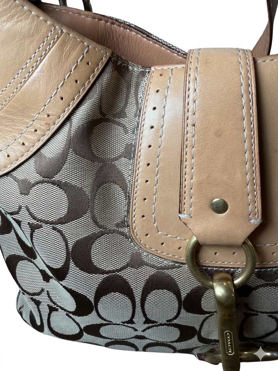 Coach Hamptons Slim Signature Hobo (2007)